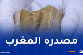 النعامة: شل نشاط شبكة إجرامية عابرة للحدود وحجز قرابة 1 قنطار كيف