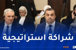 انعقاد الدورة الـ13 للجنة الحكومية المشتركة الجزائرية–الروسية