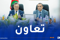 وزيرا التعليم العالي والطاقة يعقدان جلسة عمل
