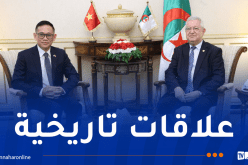 فيتنام تولي أهمية كبيرة لتطوير علاقاتها الاستراتيجية مع الجزائر