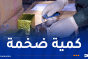 ضبط قرابة قنطار من الكيف المعالج في تلمسان