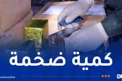 ضبط قرابة قنطار من الكيف المعالج في تلمسان