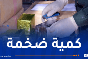 ضبط قرابة قنطار من الكيف المعالج في تلمسان