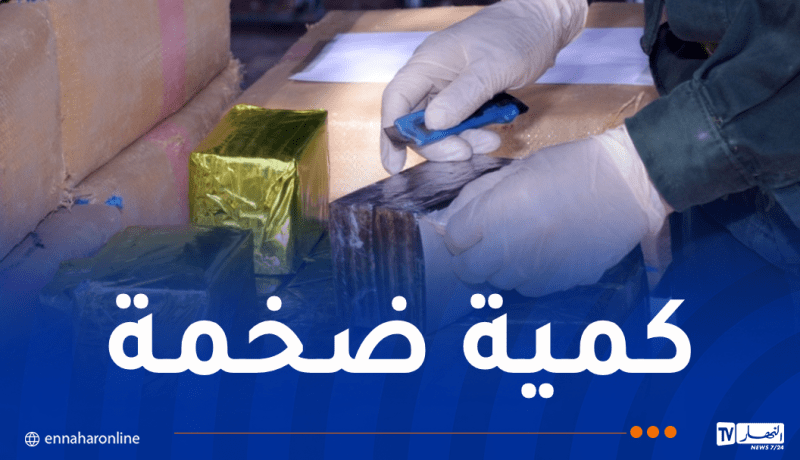 ضبط قرابة قنطار من الكيف المعالج في تلمسان