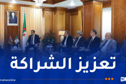 وزير المحروقات يستقبل نائب وزير الطاقة بمملكة النرويج