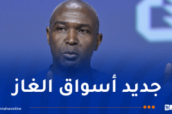الأمين العام لمنتدى الدول المصدرة للغاز في زيارة عمل إلى الجزائر