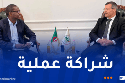 بحث آليات التعاون مع الوكالة الدولية لضمان الاستثمار