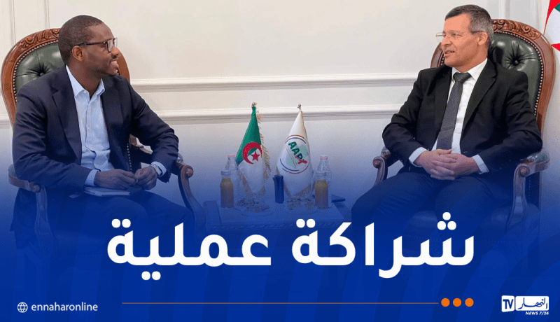 بحث آليات التعاون مع الوكالة الدولية لضمان الاستثمار