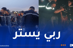 إنقاذ حصان سقط داخل بئر بعمق 3 أمتار