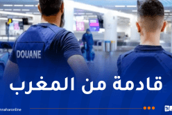 الجمارك البلجيكية تحجز أطنانا من الحشيش بميناء أنتويرب