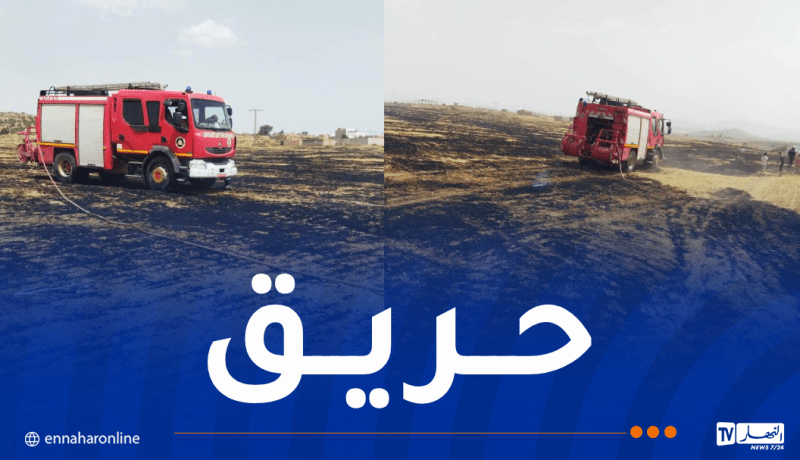 الشلف: حريق يتلف 3 هكتارات من القمح بوادي الفضة