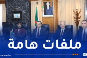عرقاب يشارك في الاجتماع الوزاري الاستثنائي لمجلس وزراء منظمة “APPO”