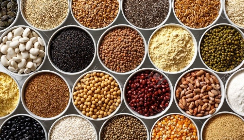 رسميا.. هذه هي البذور والشتائل المرخص بإنتاجها وتسويقها في الجزائر