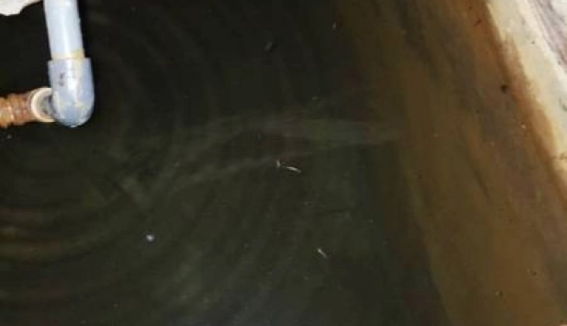 الوادي.. وفاة شخصين داخل خزان مائي