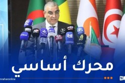 جلاوي: الطريق العابر للصحراء ركيزة محورية لتعزيز الترابط بين الدول الإفريقية