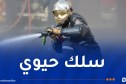 الحماية المدنية..توظيف 3000 عون جديد في 2026