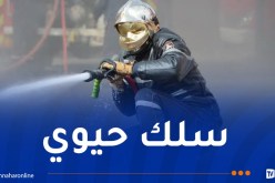 الحماية المدنية..توظيف 3000 عون جديد في 2026