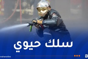 الحماية المدنية..توظيف 3000 عون جديد في 2026