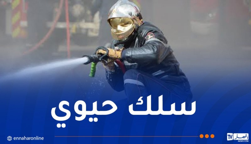 الحماية المدنية..توظيف 3000 عون جديد في 2026