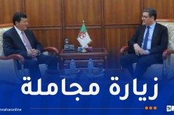 وزير الصحة يستقبل رئيس المؤسسة الخيرية “إلياس زرهوني”