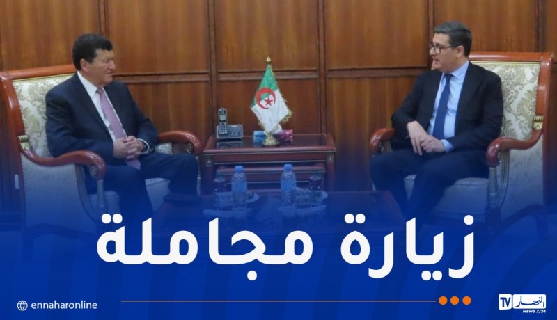 وزير الصحة يستقبل رئيس المؤسسة الخيرية “إلياس زرهوني”