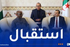 وزير الموارد البترولية المكلف بالغاز في نيجيريا يحل بالجزائر