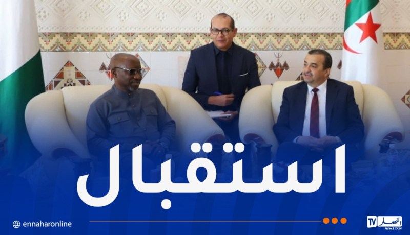 وزير الموارد البترولية المكلف بالغاز في نيجيريا يحل بالجزائر