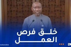وزير الموارد البترولية النيجيري: أنبوب الغاز العابر للصحراء مهم للقارة الإفريقية بأكملها