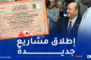 جلولي: محطة توليد الكهرباء بنيامي انطلاقة فعلية لتوسيع نشاط سونلغاز الدولية