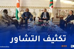 وزير البترول النيجري يشرع في زيارة عمل إلى الجزائر