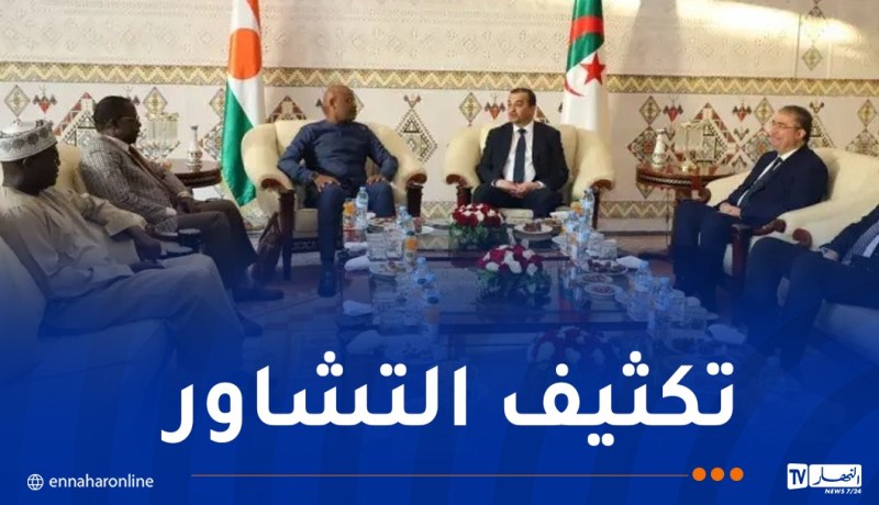 وزير البترول النيجري يشرع في زيارة عمل إلى الجزائر