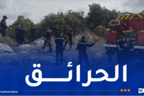 حصيلة الحرائق..تسجيل 17 حريقا عبر 15 ولاية خلال يوم واحد