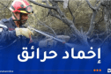 إخماد 53 حريق غابات ومحاصيل زراعية خلال يوم واحد!