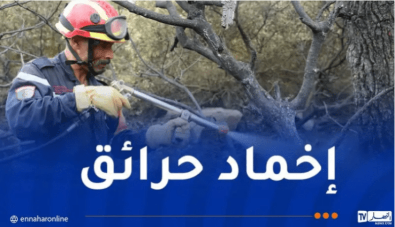 إخماد 53 حريق غابات ومحاصيل زراعية خلال يوم واحد!
