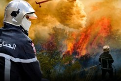 الحماية المدنية: إخماد 10 حرائق بعدة الولايات