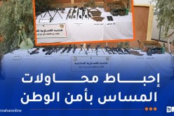 وزارة الدفاع: استرجاع كمية من الأسلحة في إن قزام