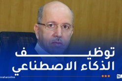 سايحي يشارك في مؤتمر العمل الدولي بسويسرا تحت شعار “تسخير الذكاء الاصطناعي لتحقيق العمل اللائق”