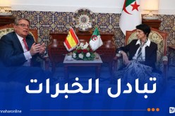 رئيسة المحكمة الدستورية تستقبل سفير  إسبانيا