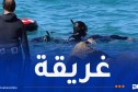 سكيكدة: انتشال جثة غريقة عشرينية من البحر