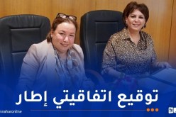 نحو تأسيس مركزَي امتياز للصناعة السينمائية ومهن الفن