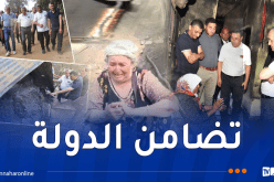 بعد فيديو أبكى الجزائريين.. والي سكيكدة يتكفل بترميم منزل عائلة شاوي بعين شرشار بعد الحريق