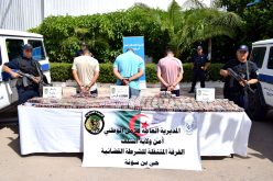 شرطة الشلف توقف شبكة إجرامية وتحبط مخططا لترويج 41 ألف قرص مهلوس