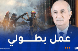 رئيس الجمهورية يشيد بجهود نساء ورجال الحماية المدنية في إخماد النيران
