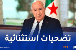 الرئيس تبون: سنتخذ إجراءات لتثمين تضحيات الحماية المدنية