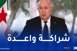 الرئيس تبون: الجزائر وألمانيا تعززان شراكتهما في الطاقة والصناعة والتكنولوجيا