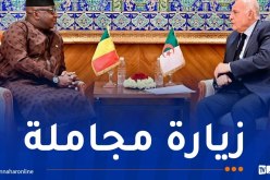 وزير الخارجية يستقبل سفير مالي