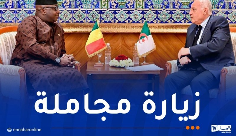 وزير الخارجية يستقبل سفير مالي