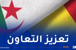 حنيفي: الجزائر مستعدة لتقاسم خبراتها المؤسساتية والتقنية مع تشاد