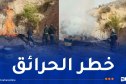 محافظة الغابات بأم البواقي تكتشف مفحمة غير شرعية للفحم وتوقف صاحبها