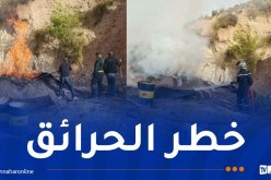 محافظة الغابات بأم البواقي تكتشف مفحمة غير شرعية للفحم وتوقف صاحبها